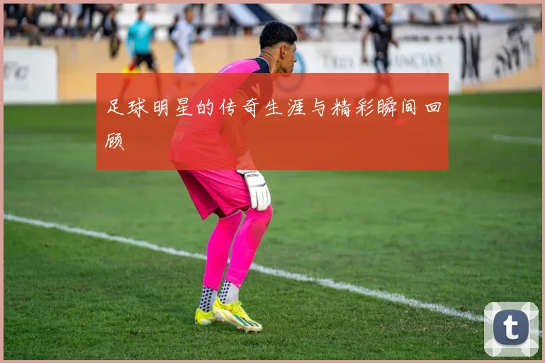 足球明星的传奇生涯与精彩瞬间回顾