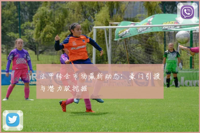 法甲转会市场最新动态:豪门引援与潜力股挖掘