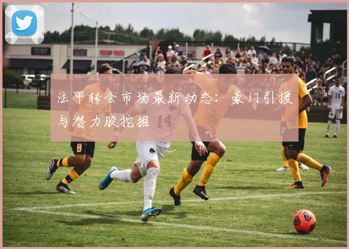 法甲转会市场最新动态：豪门引援与潜力股挖掘